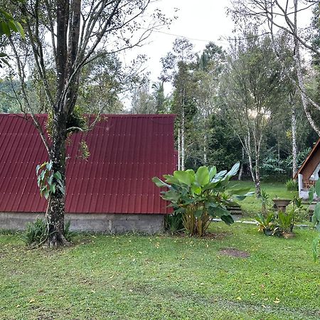 Hotel Da'Kayu Glamping Munduk Exterior foto